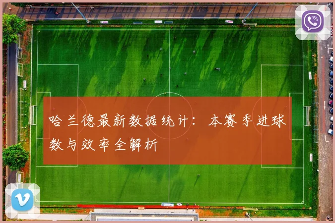 哈兰德最新数据统计：本赛季进球数与效率全解析