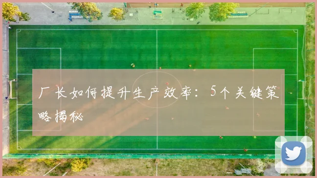 厂长如何提升生产效率：5个关键策略揭秘