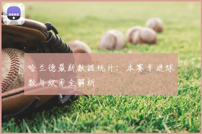 哈兰德最新数据统计：本赛季进球数与效率全解析
